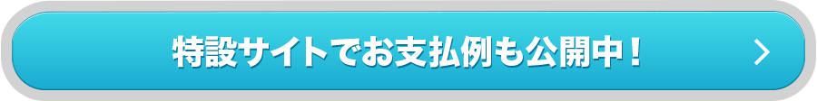 特設サイトでお支払例も公開中！