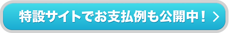 特設サイトでお支払例も公開中！