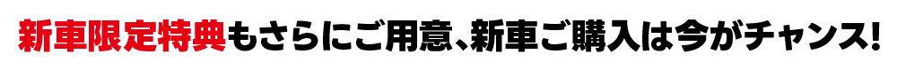 新車限定特典もさらにご用意、新車ご購入は今がチャンス！