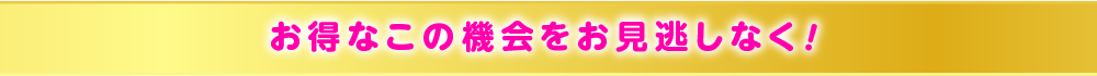 お得なこの機会をお見逃しなく！