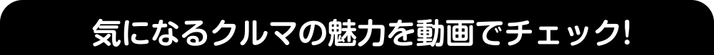 気になるクルマの魅力を動画でチェック！