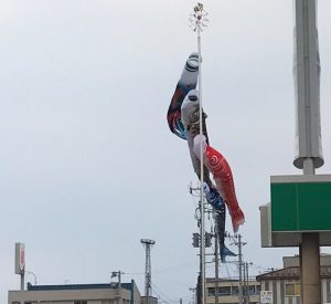 IMG_0485