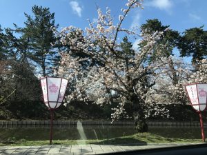 IMG_0590