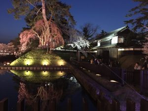 IMG_1544