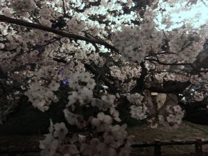 IMG_1553