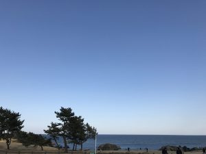 IMG_6239
