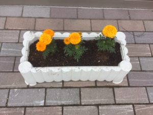 花４