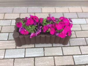 花２