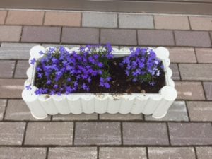 花３