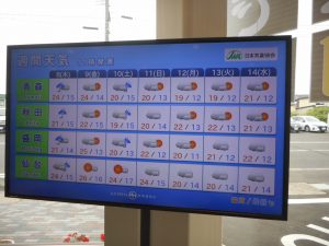 DSCN4081