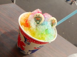 DSCN4218