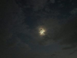 IMG_0040[1]