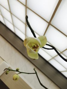 IMG_0832