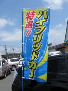 IMG_8241