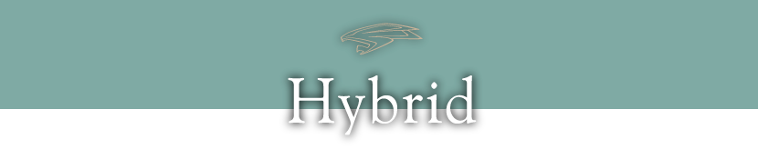 Hybrid