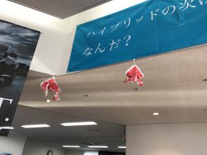 IMG_0718