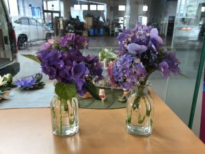 IMG_0870