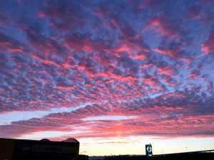 IMG_9624[1]