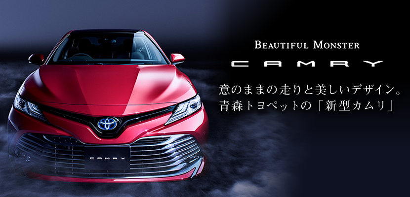 camuri_head