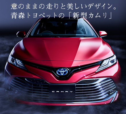 camuri_head_sp