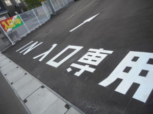 DSCN4571