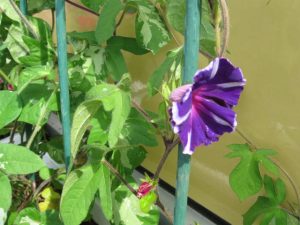 IMG_8315[1]