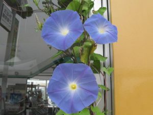 IMG_8330[1]