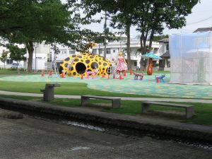 IMG_8343