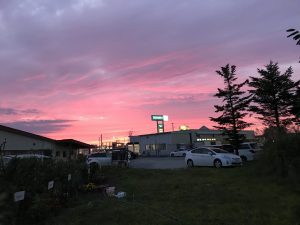 IMG_1508