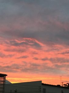 IMG_2415[1]