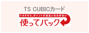 TS CUBIC カード　使ってバック