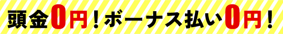 頭金0円！ボーナス払い0円！