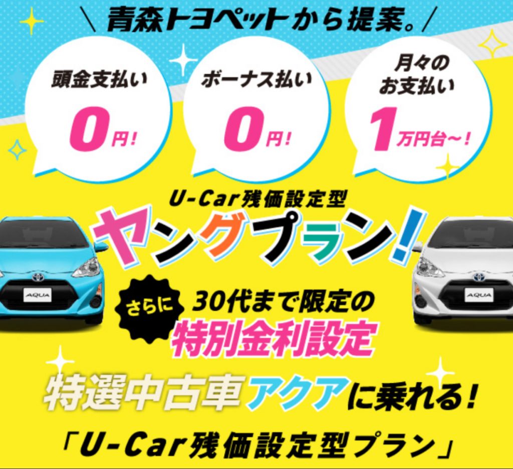 ヤングプラン