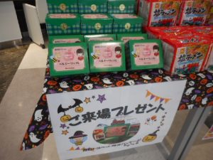DSCN4918