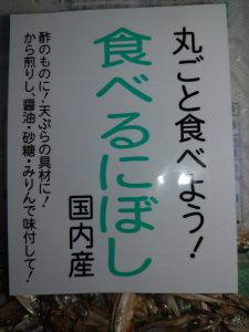 IMAG0085
