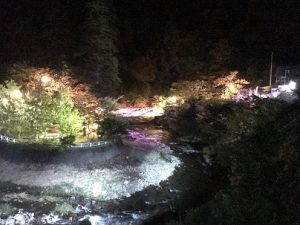 IMG_0236[1]
