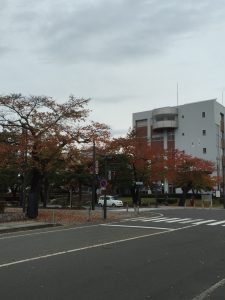 IMG_2524[1]