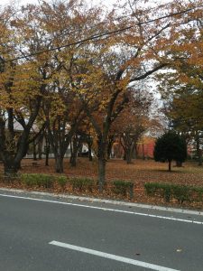 IMG_2529[1]