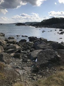 IMG_0521