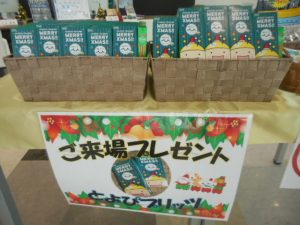 DSCN5231