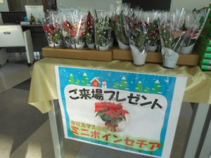 DSCN5340