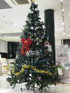 IMG_4615[1]