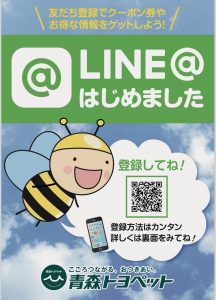 B4E24DD2-6F80-487F-A98F-006F2F6EBA8C