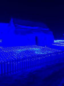 IMG_2782[1]