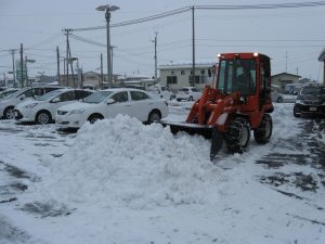 IMG_9187