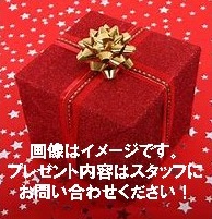 プレゼンテーション1
