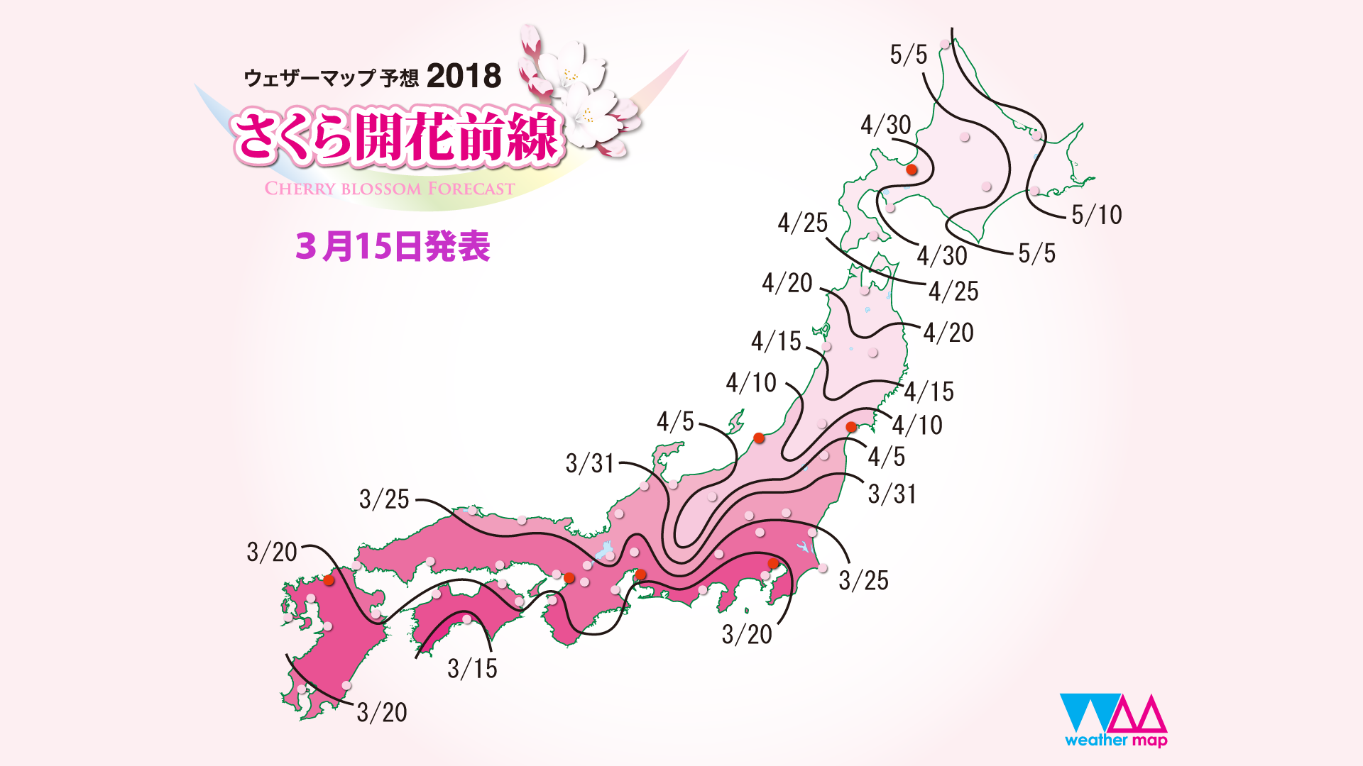 sakura_front_1920x1080