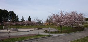 _20180428_191720