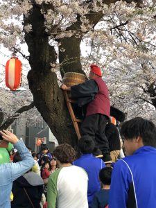 268C3CF0-EF35-493E-8E74-3AB4EBEE8F3C