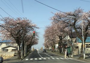 98381B69-A2DE-428C-90A8-B68D370FA43A